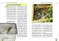 Preview: Der Blaue Bambus-Taggecko